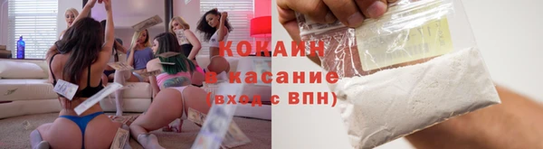 гашик Аркадак