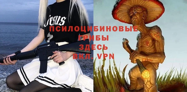 крисы Переславль-Залесский