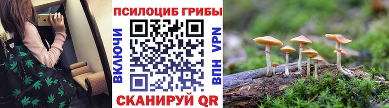 Галлюциногенные грибы прущие грибы  Советский 