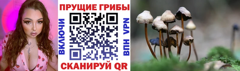 Псилоцибиновые грибы GOLDEN TEACHER Советский